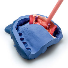 Cargar imagen en el visor de la galería, GINGIFAST RIGID
