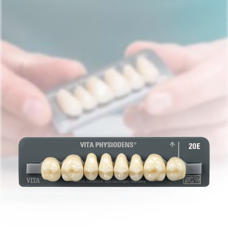 VITA PHYSIODENS® 20E Tableta x6